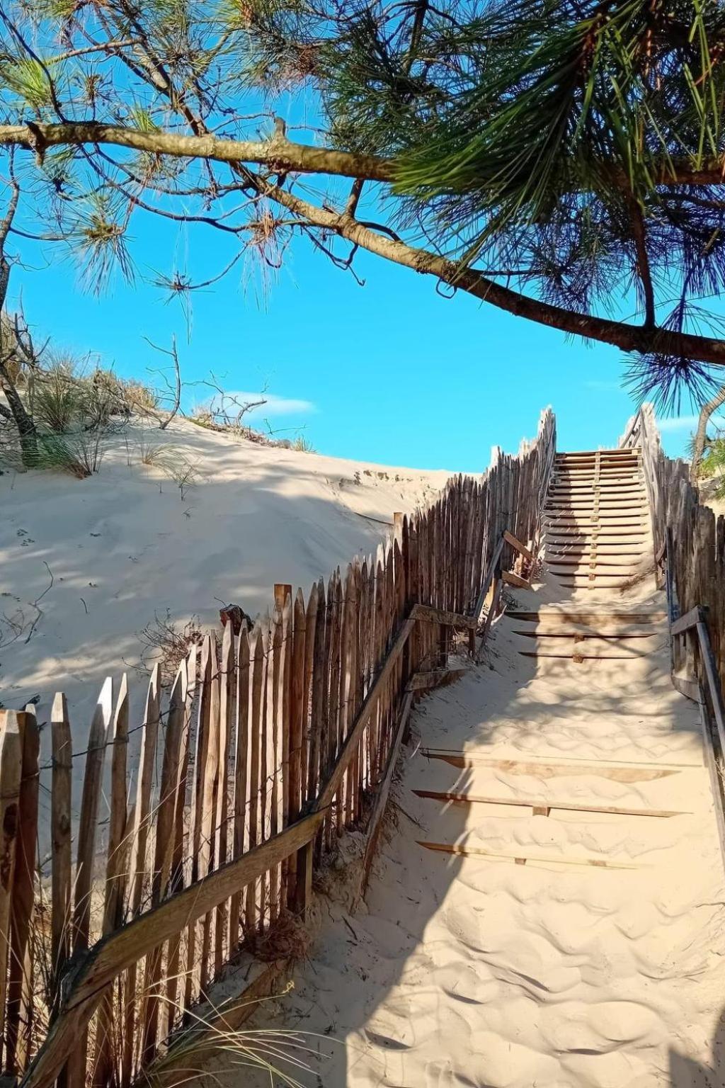 Holiday Home Les Pinasses By Interhome Mimizan-Plage Εξωτερικό φωτογραφία